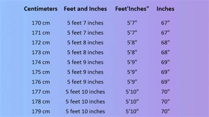 1.7 cm to feet and inches