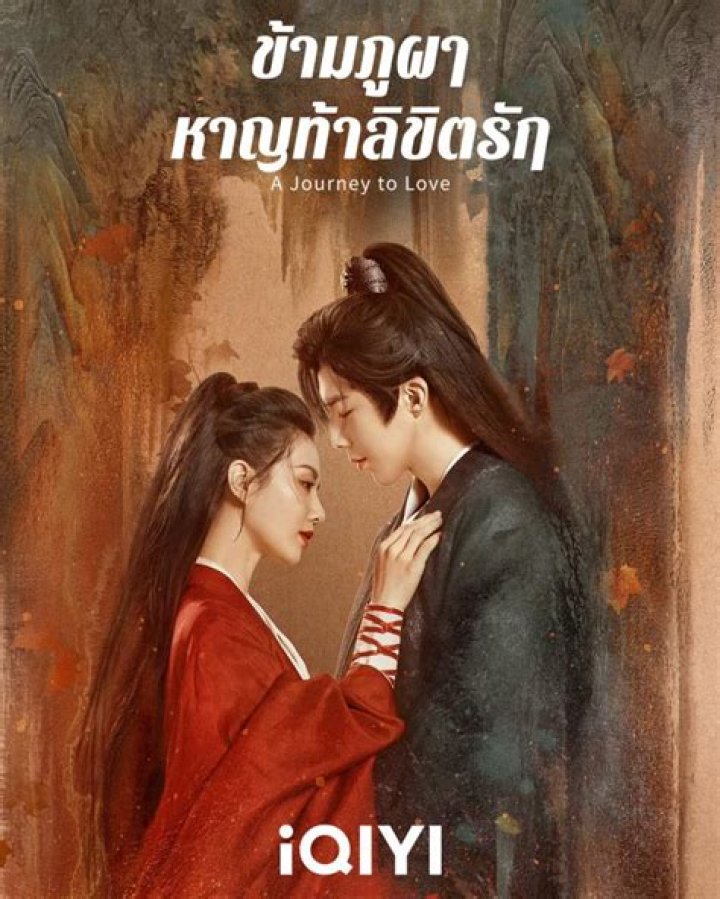 A Journey To Aesthetic Excellence