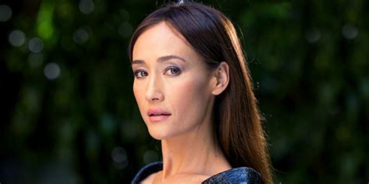 Daniel Henney And Maggie Q's Journey To Stardom