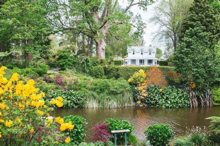 Discover Style, Bonding, And Memories