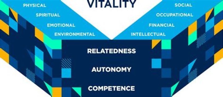 Discoveries And Insights For Vitality And Performance