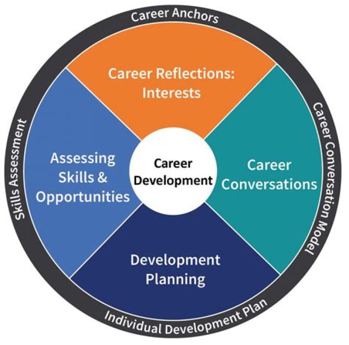 Discoveries And Insights For Your Career
