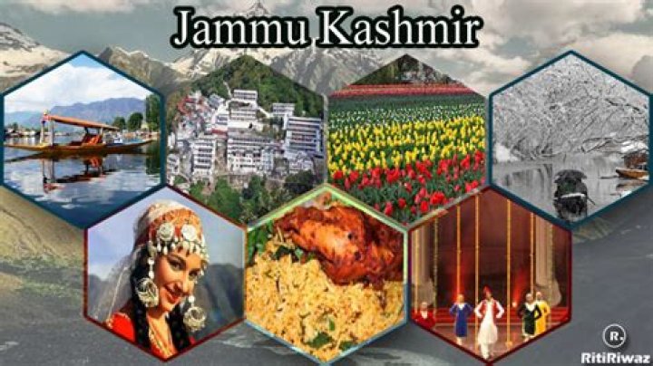 From Kashmiri Pandit Roots To Social Activism