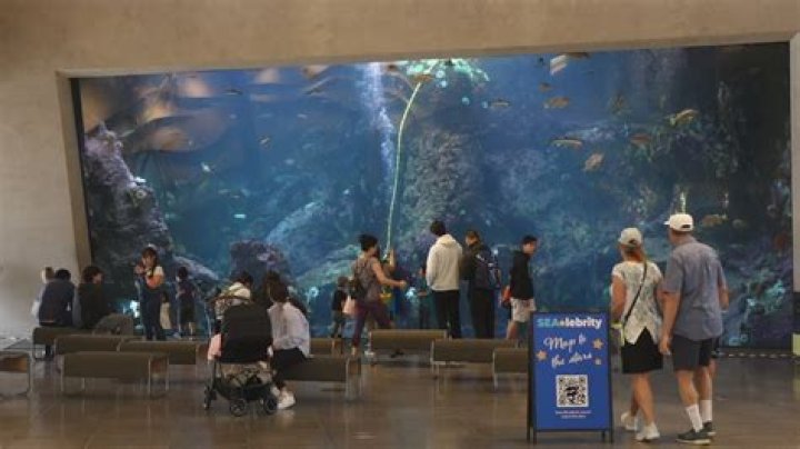 How long does it take to walk through the Seattle Aquarium?