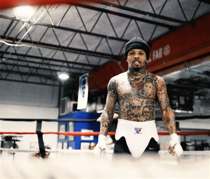 How many fights has Tank Davis lost?