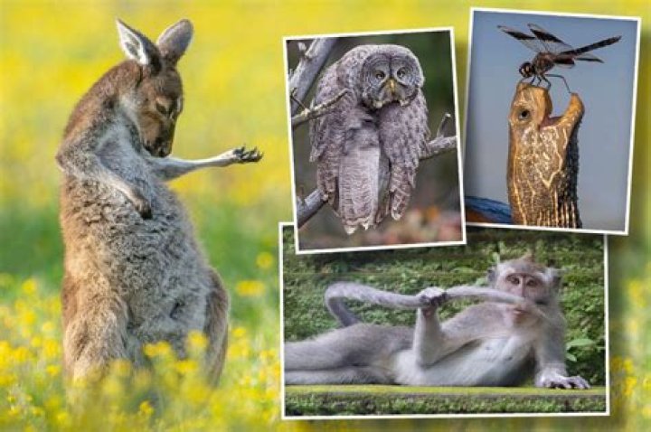 Tajh Boyd Death Cause: How Did the Liberty Flames OL Die?