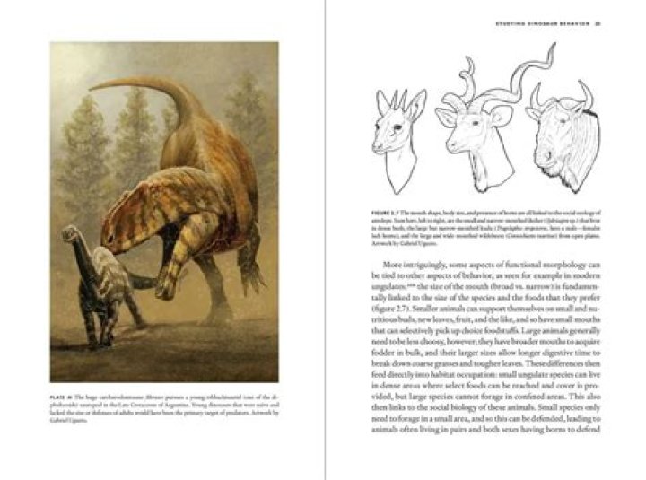 Uncovering The Extraordinary Lives Of Famous Offspring