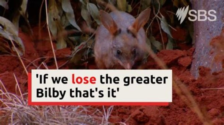 Unveiling The Secrets Of "Shelby Bilby Of Leaks"